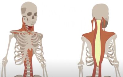 2 min. video: Hvordan virker alexanderteknik?